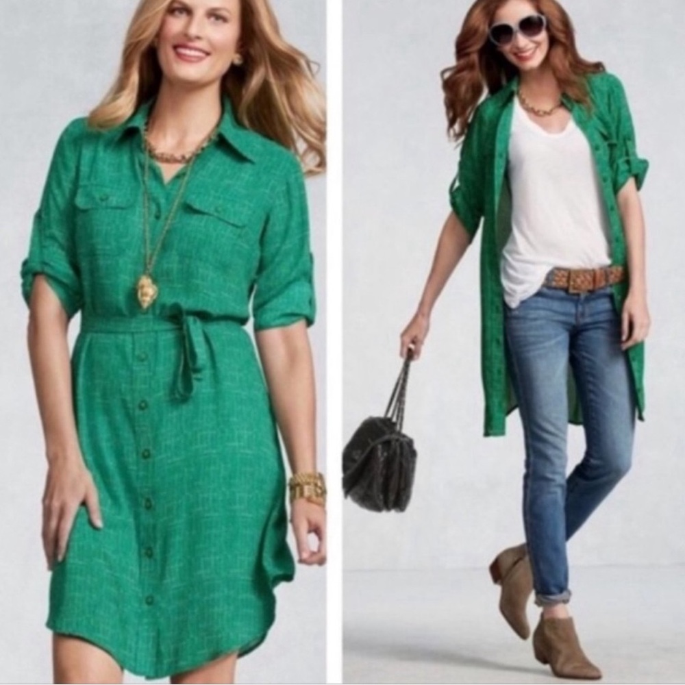 Cabi long sleeve dress